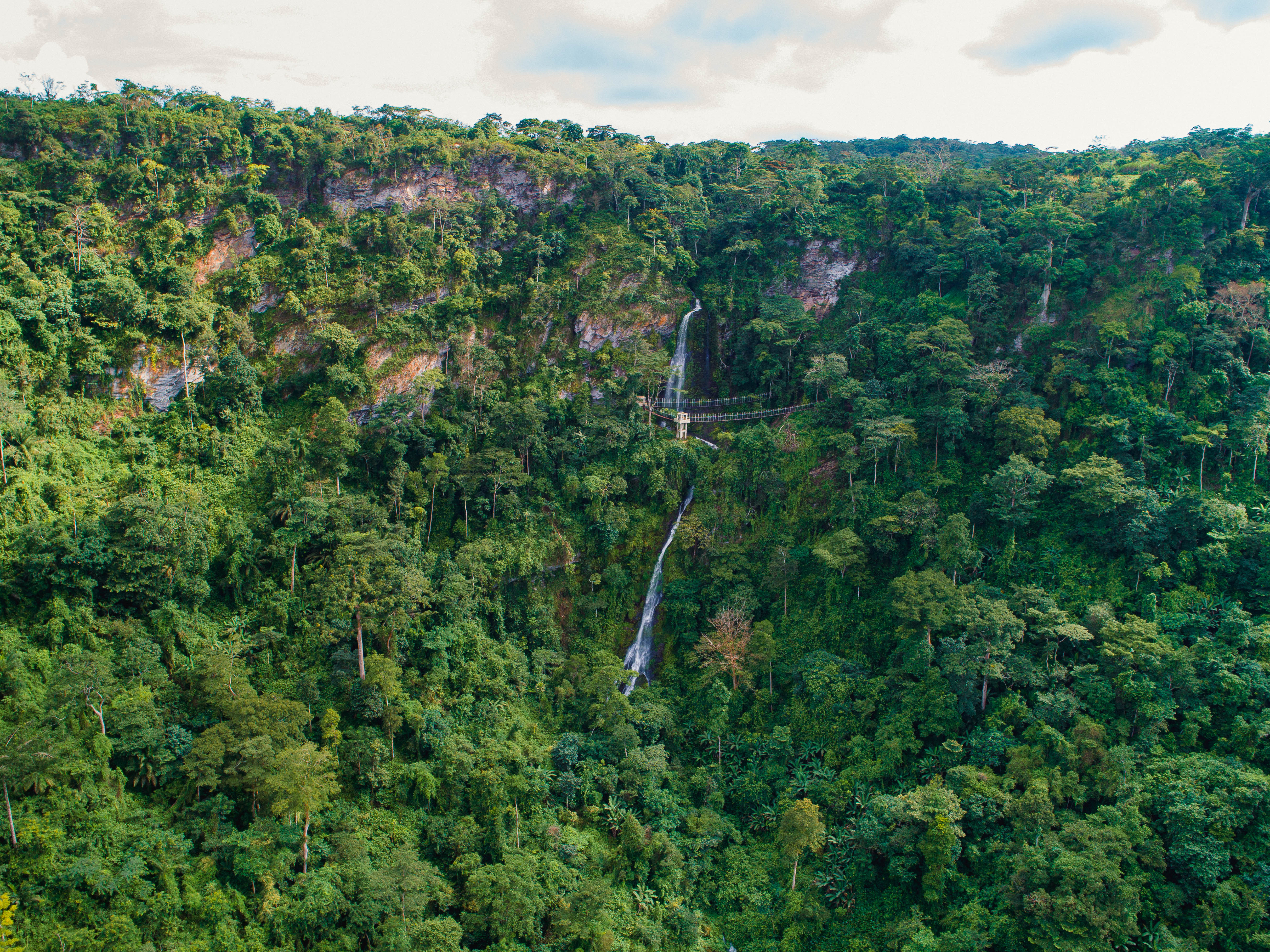 Aerial view of the refuge's forest canopy, a waterfall, and the canopy walkway crossing the gorge